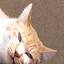 hoarding-examples.hatenablog.jpのアイコン